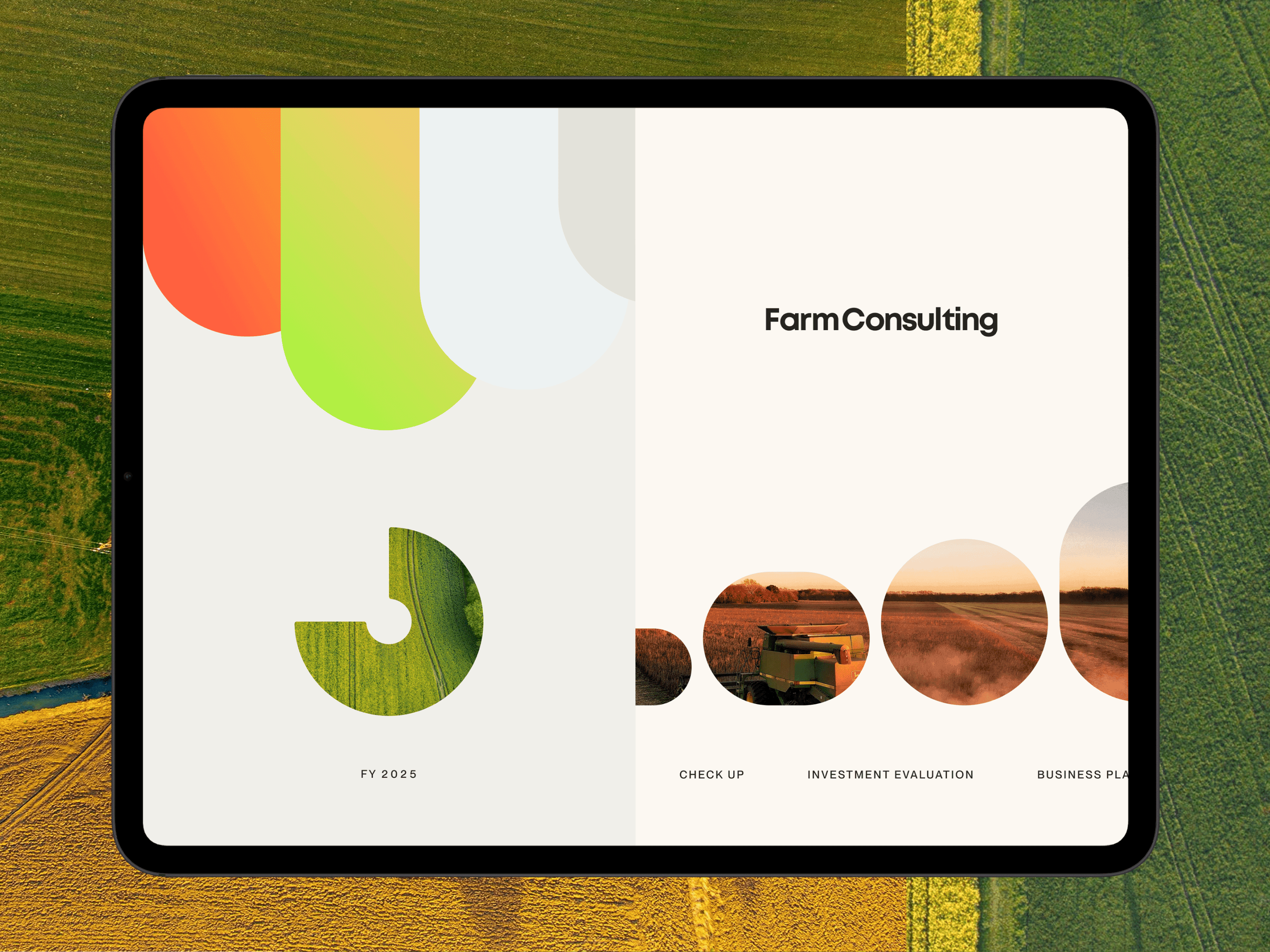 Identity System & Website Design – image 1